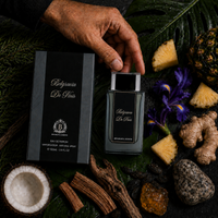 Belgravia De Noir